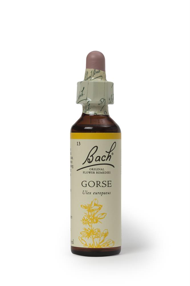 Bach Original Flower Remedies_Gorse 20ml