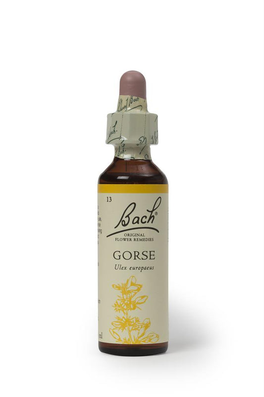 Bach Original Flower Remedies_Gorse 20ml