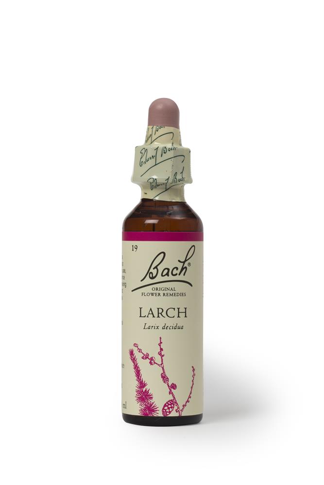 Bach Original Flower Remedies_Larch 20ml