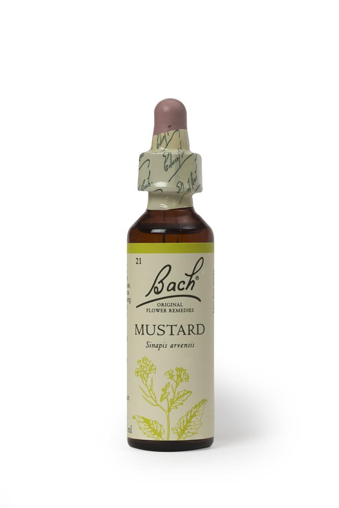 Bach Original Flower Remedies_Mustard 20ml