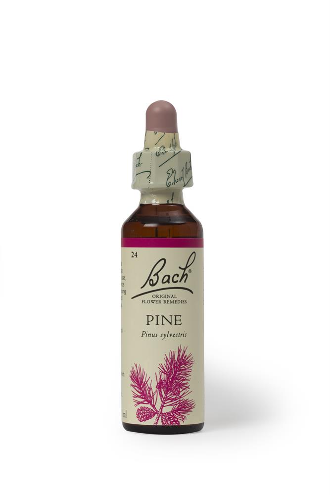 Bach Original Flower Remedies_Pine 20ml