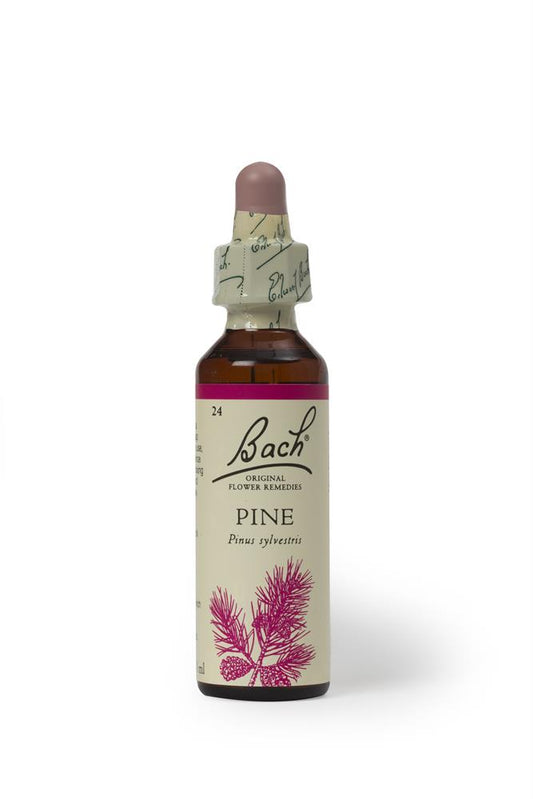 Bach Original Flower Remedies_Pine 20ml