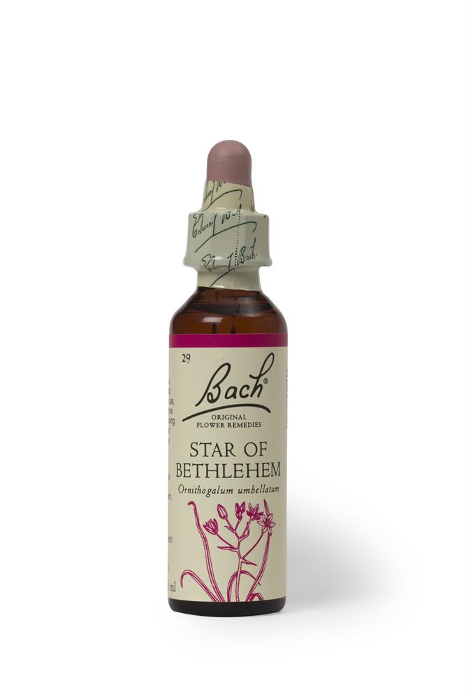 Bach Original Flower Remedies_Star of Bethlehem 20ml