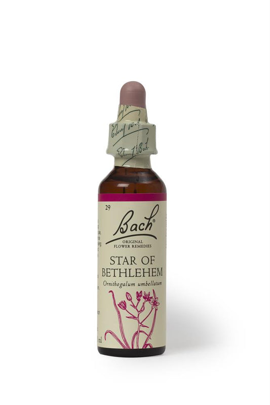Bach Original Flower Remedies_Star of Bethlehem 20ml