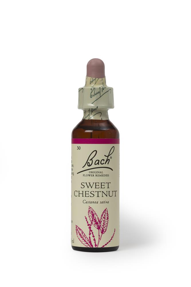 Bach Original Flower Remedies_Sweet Chestnut 20ml