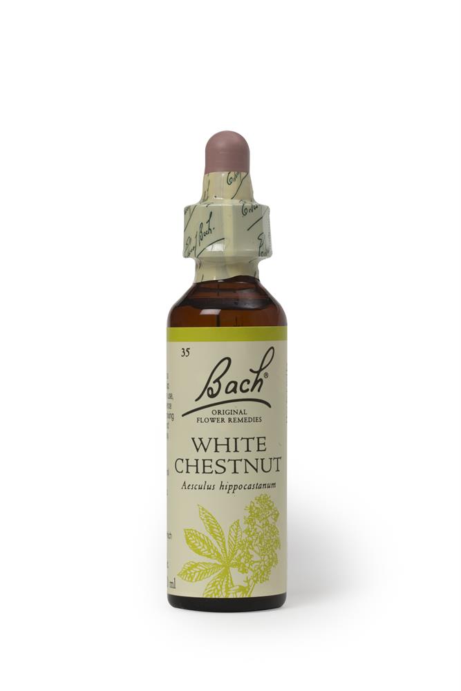 Bach Original Flower Remedies_White Chestnut 20ml