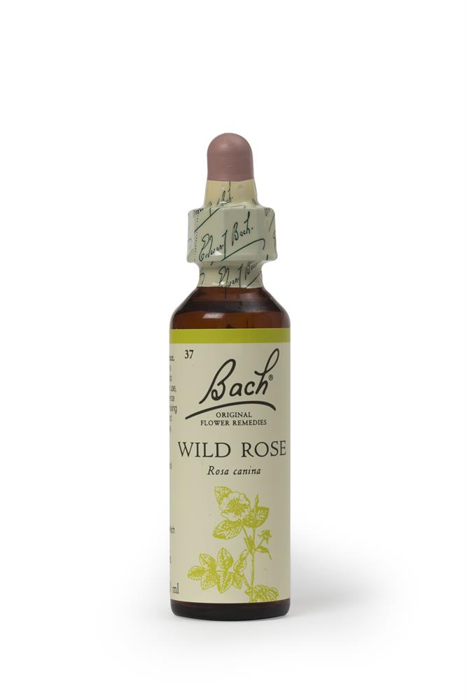 Bach Original Flower Remedies_Wild Rose 20ml
