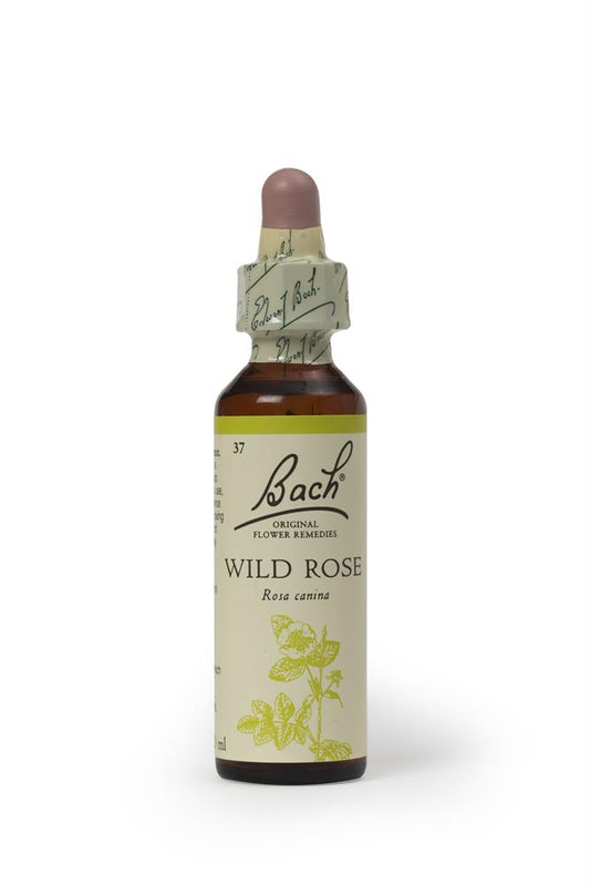 Bach Original Flower Remedies_Wild Rose 20ml