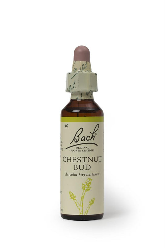 Bach Original Flower Remedies_Chestnut Bud 20ml