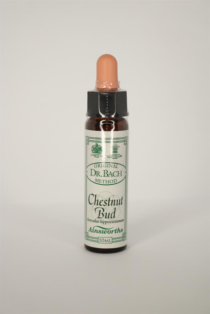 Dr Bach_Chestnut Bud Bach Flower Remedy-pack of 3