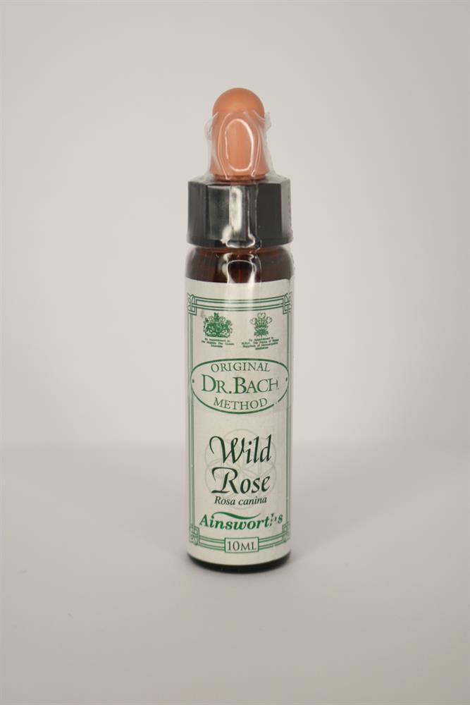 Dr Bach_Wild Rose Bach Flower Remedy-pack of 3