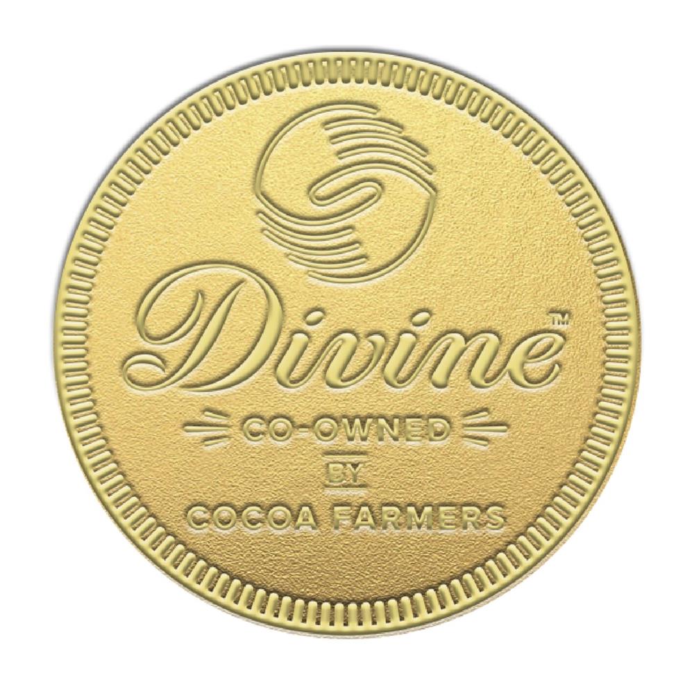 Giant Fairtrade Milk Chocolate Coin-pack of 6