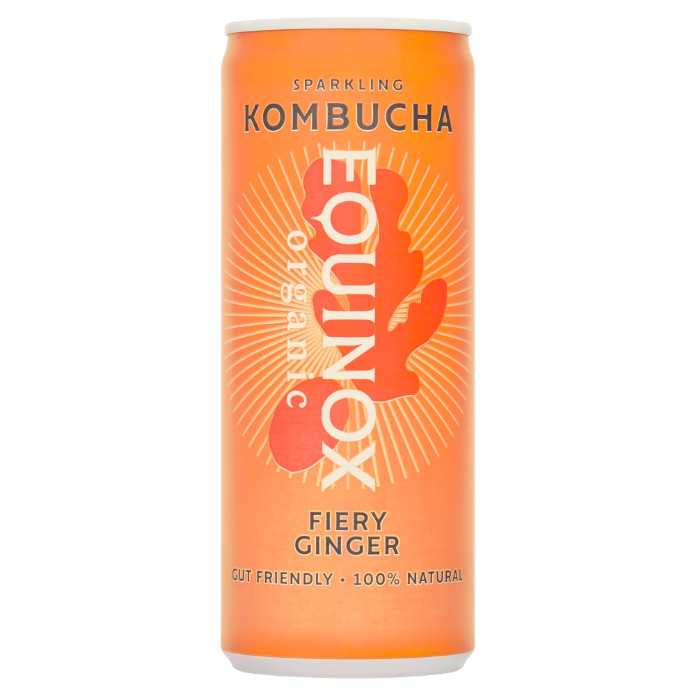 Equinox Kombucha_Organic Kombucha Soft Drink with Ginger 250ml can-pack of 12
