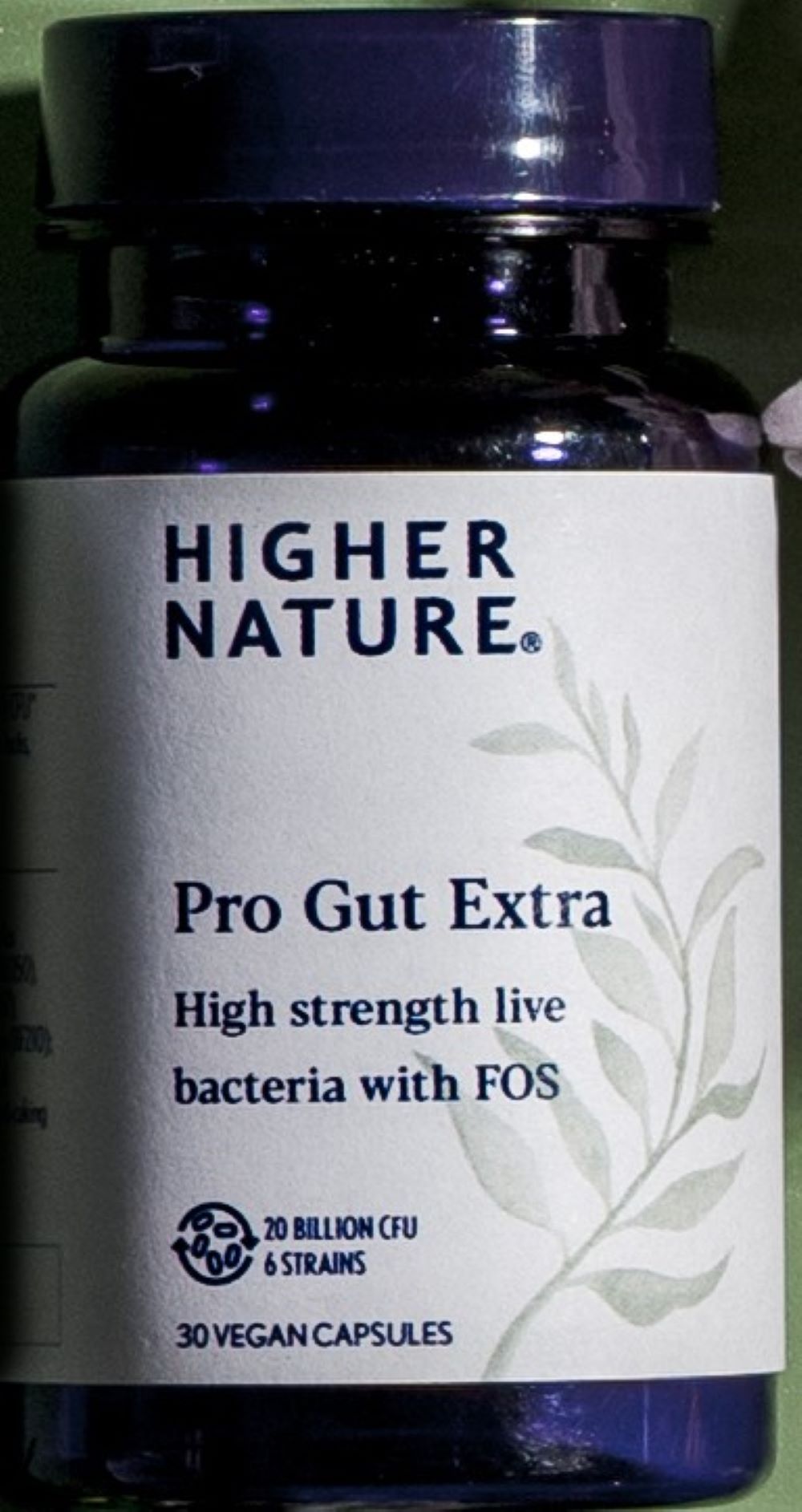 Higher Nature_Pro Gut Extra 30 capsules