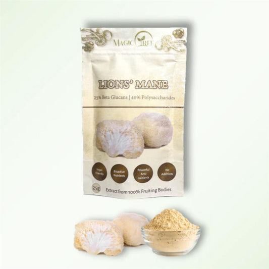 Magictree_Superfooods Lions Mane Mushroom Extract 25g