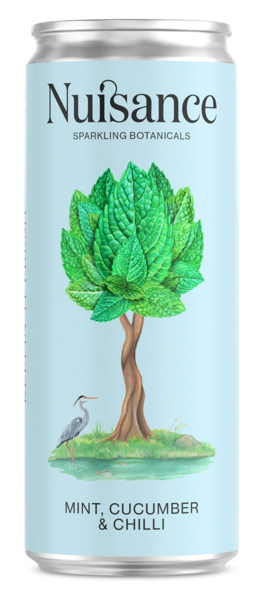 Nuisance Drinks_Nuisance Mint Cucumber & Chilli (250ml)-pack of 4