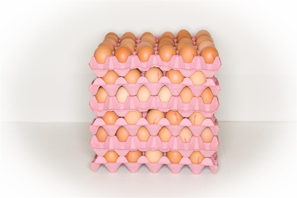 Rookery Farm_Org Medium Eggs x180 (6 trays of 30)