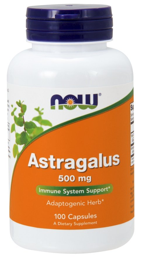 Astragalus, 500mg - 100 caps