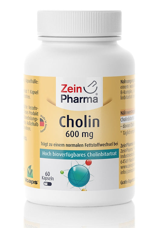 Zein Pharma Choline - 600mg - 60 caps